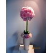 東京都渋谷区にしむらフローリストの花　カーネーションのトピアリー