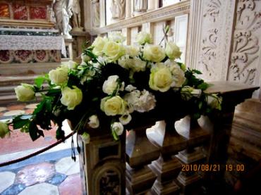 wedd6