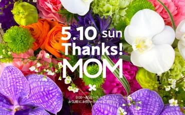 top_main_mom01