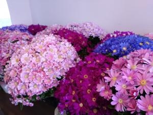 春らしい色の花々｜「にしむらフローリスト」　（東京都渋谷区の花キューピット加盟店 花屋）のブログ
